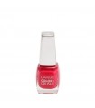 LAKME True Wear Nail Color Shade 501