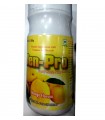 JENPRO POWDER mango